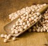 High Nutrient Organic Chickpeas Supplier from India