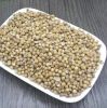 Wholesale Coriander Seeds coriander seed FOR SALE