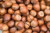Macadamia Nuts