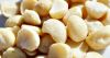 Macadamia Nuts - Raw or Kernels - Small & Large Orders