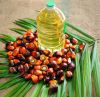 refined palm oil