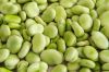 LIMA BEANS