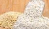 White Sorghum Flour