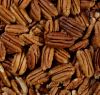 PECAN NUTS