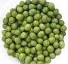 FRESH GREEN OLIVES
