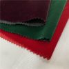 Directly Factory High Quality Pd Cash Mere Led Velvet Flocking Fabric for Winter Clothes India Market
