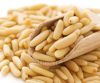 Pine Nuts at competitive Market Prices