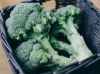 Fresh Broccoli