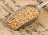 High Quality Milling Wheat