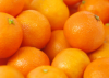 Competitive Price Organic Fresh Mandarin Fruit