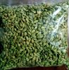 Wholesale export pumpkin seeds