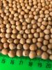 Chickpeas 6+/7+