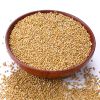 new crop red/ yellow millet for animal food feed