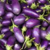 FRESH ORGANIC EGGPLANT