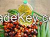 Palm Oil