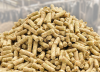 Animal Feed Probiotics