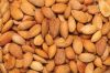 Almonds Nuts