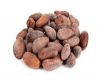 Top Selling New Crop Organic Dried Raw & Roasted Mature Cacao Beans