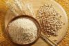 High Quality BARLEY FLOUR