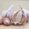 Factory Supply New Crop Fresh Natural Pure White Garlic