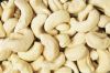 Quality Cashew nuts for sale