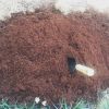 COCONUT PEAT AND FIBER