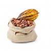 Dried Raw Cocoa Beans