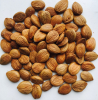 Apricot Kernels Organic Raw Dried Bitter