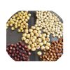 High Quality Red Sorghum/White Sorghum For Sale