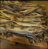 Fish Frozen, dried fish