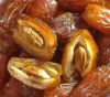 quality Fresh Dates