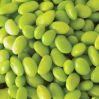 High Quality Dried Lima Beans