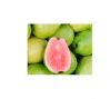 Fresh Guava for sale