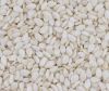 Quality sesame seeds
