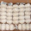 Wholesale Fresh Garlic / Fresh White Garlic / Fresh Garlic Price