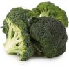 Fresh Broccoli , Fresh Green Brocolli, Frozen fresh broccoli