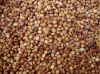 WHITE SORGHUM Red Sorghum, Sorghum Grains