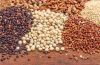 Quinoa Grain and bulk Quinoa Seeds For Sale