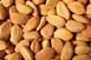 Beat quality whole sales Apricot kernels