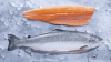 Atlantic Salmon Fish Frozen