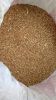 Natural High quality wheat grain