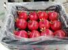 Premium Egyptian Pomegranates