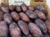 Premium Medjoul Dates
