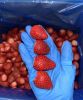 Premium Frozen Egyptian Strawberries (IQF) - Organic Export.