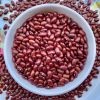 Light Speckled Kidney beans