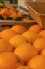 Fresh oranges for export