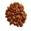 Apricot Kernel Nut Raw Apricot Kernels