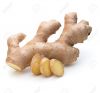 Ginger