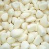 Bulk Frozen Fresh Peeled Garlic Cloves
