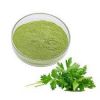 Pure Organic Instant Parsley Juice Extract Powder With Best Price